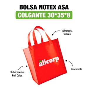 BOLSA NOTEX ASA COLGANTE 30*35*8