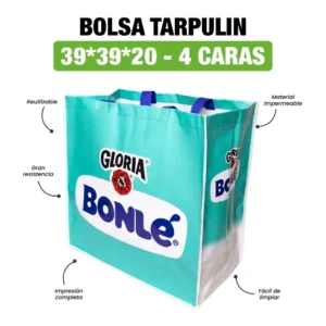 BOLSA TARPULIN (MERCADO) 39*39*20 IMPRESION 4 CARAS
