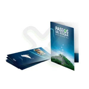 FOLDER PLASTIFICADO BRILLANTE