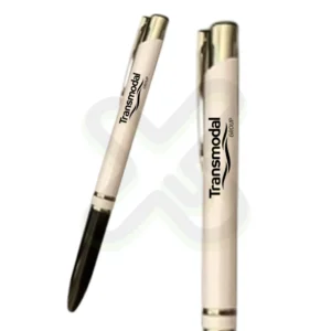 LAPICERO PLASTICO 10