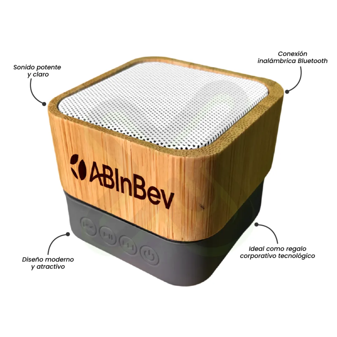 PARLANTE MINI MODELO DALLAS