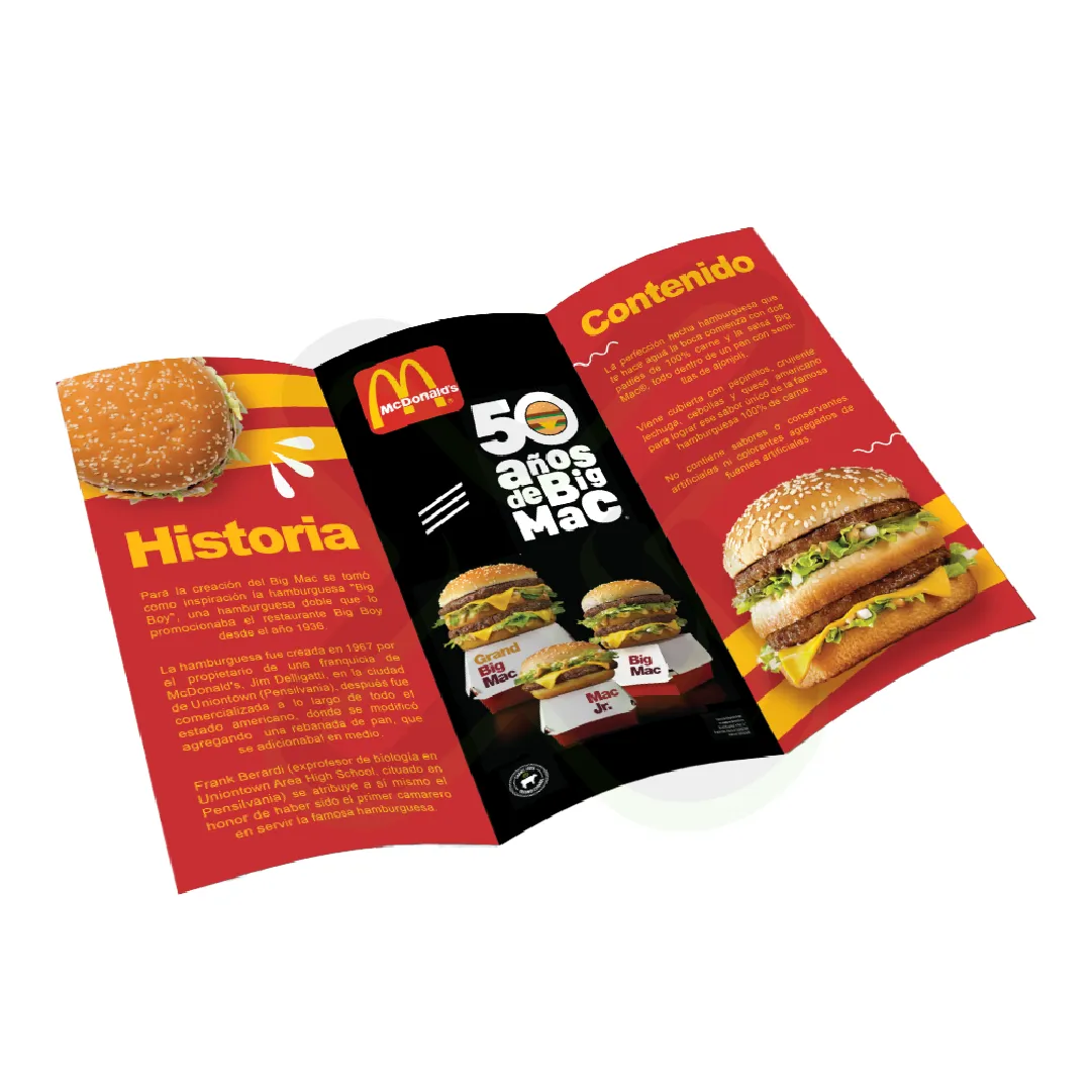 TRIPTICO A4 - Imagen 2